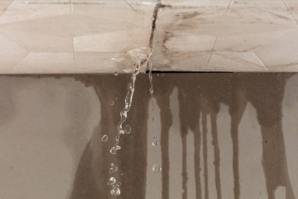 Professional Structural Drying technician working in Section, AL